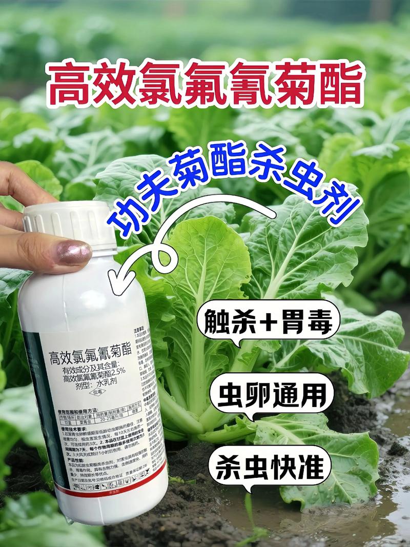 茂名代生中心:农药对供卵代生妈妈的危害